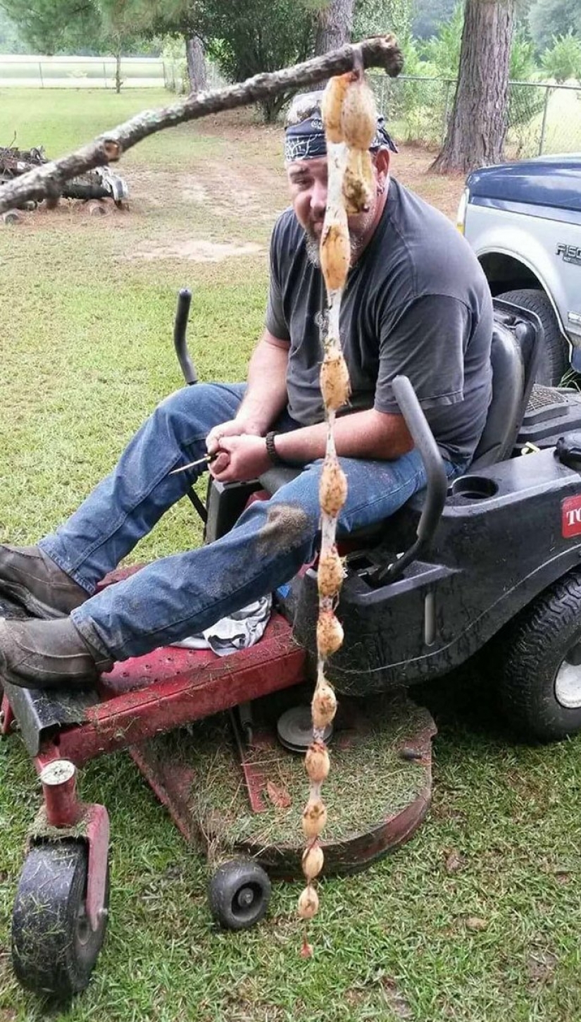 30 bewildered people who found the Internet for the answer to your question