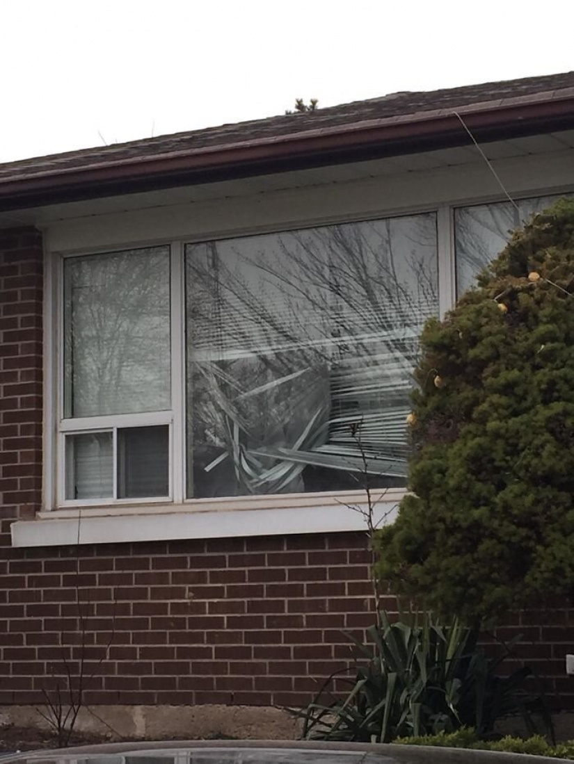 30 las personas que están en cuarentena se dan peor que tú 30 las personas que están en cuarentena se dan peor que tú