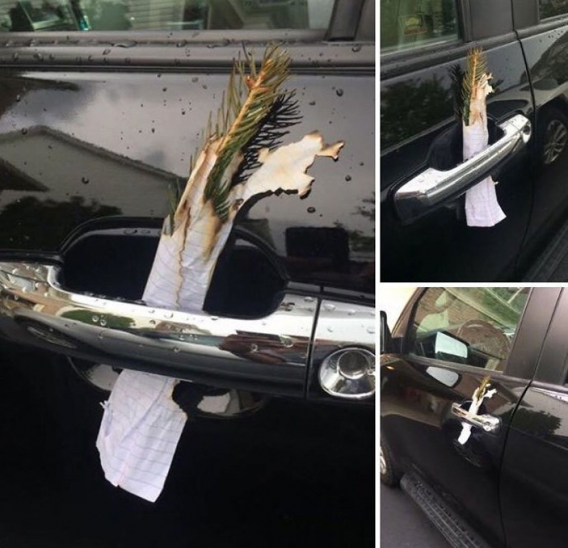 30 personas confundidas que encontró el Internet para encontrar la respuesta a su pregunta