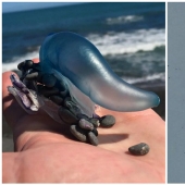 30 personas confundidas que encontró el Internet para encontrar la respuesta a su pregunta