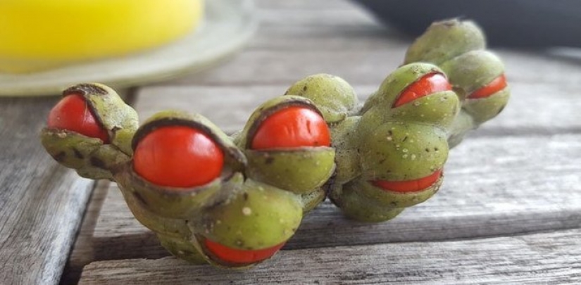 30 personas confundidas que encontró el Internet para encontrar la respuesta a su pregunta