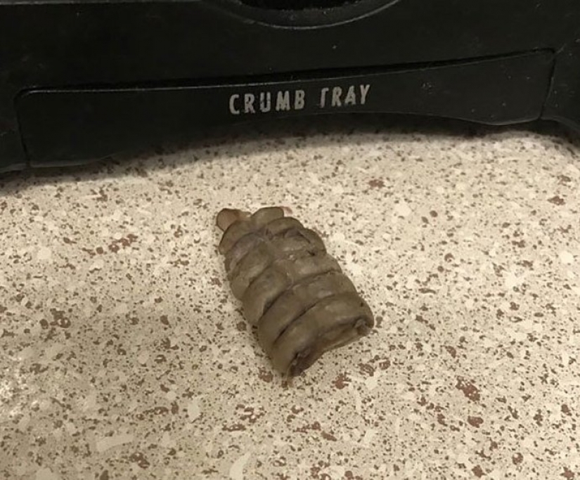 30 personas confundidas que encontró el Internet para encontrar la respuesta a su pregunta