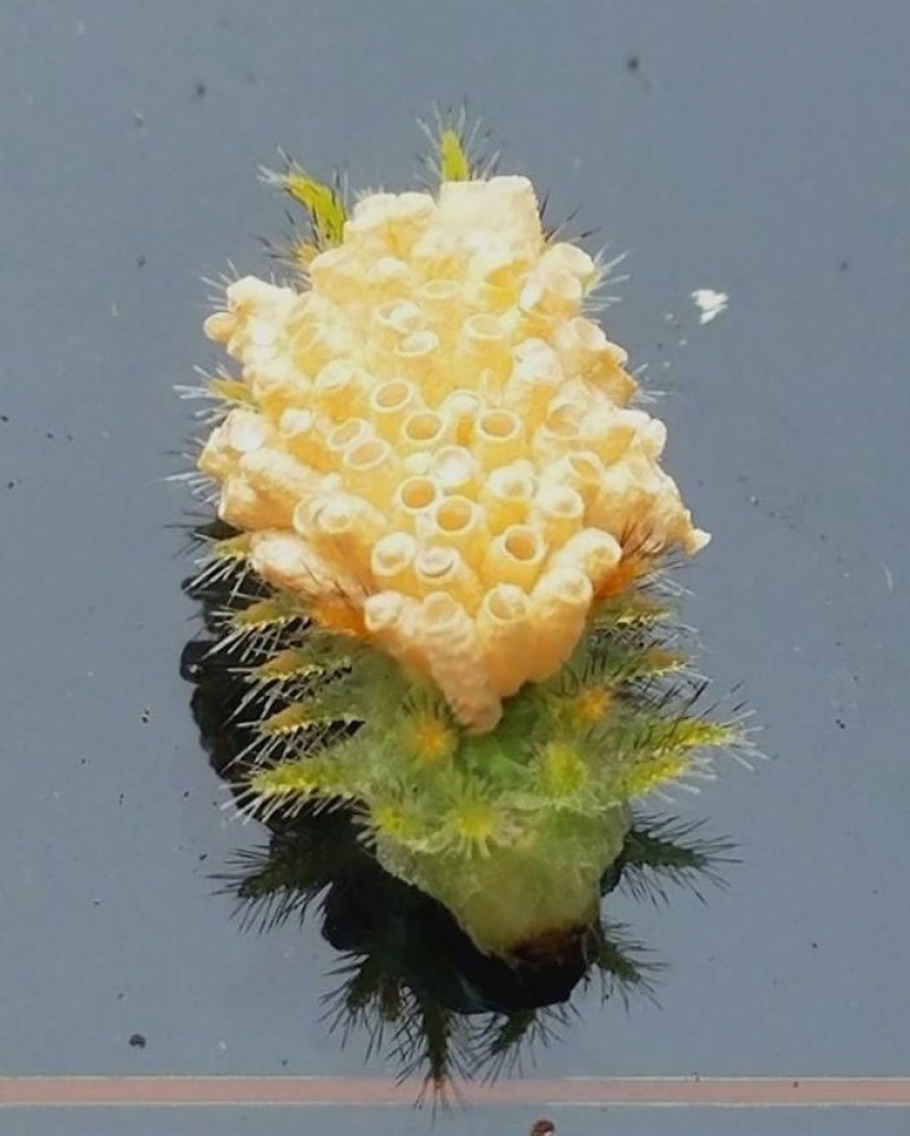 30 personas confundidas que encontró el Internet para encontrar la respuesta a su pregunta