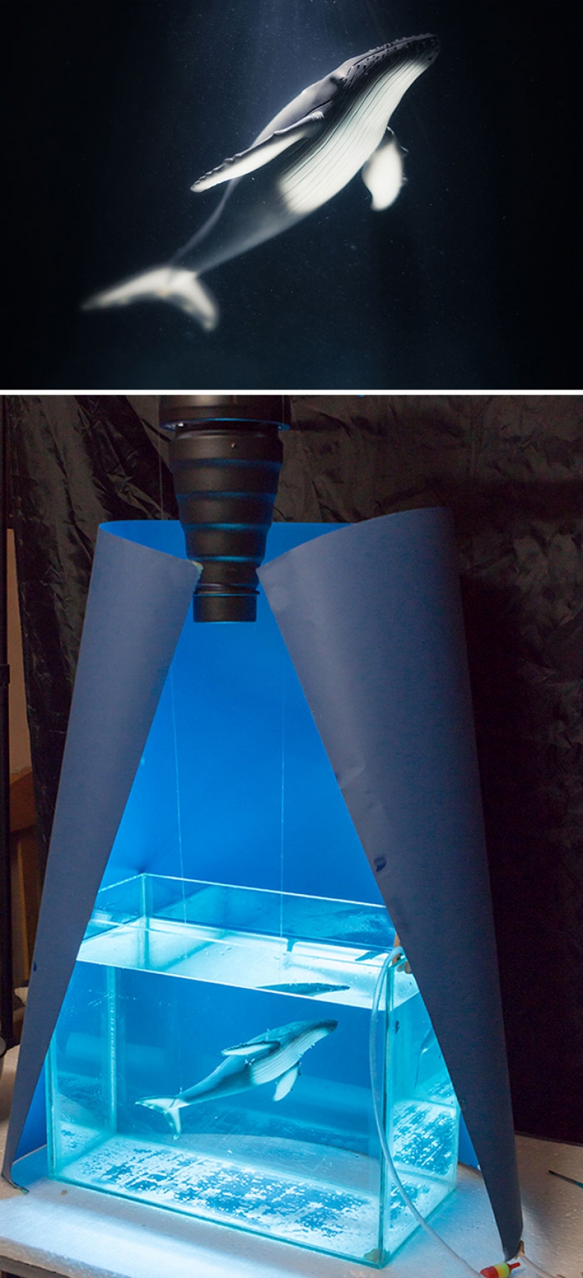 33 ejemplo de lo que la fotografía profesional es una farsa