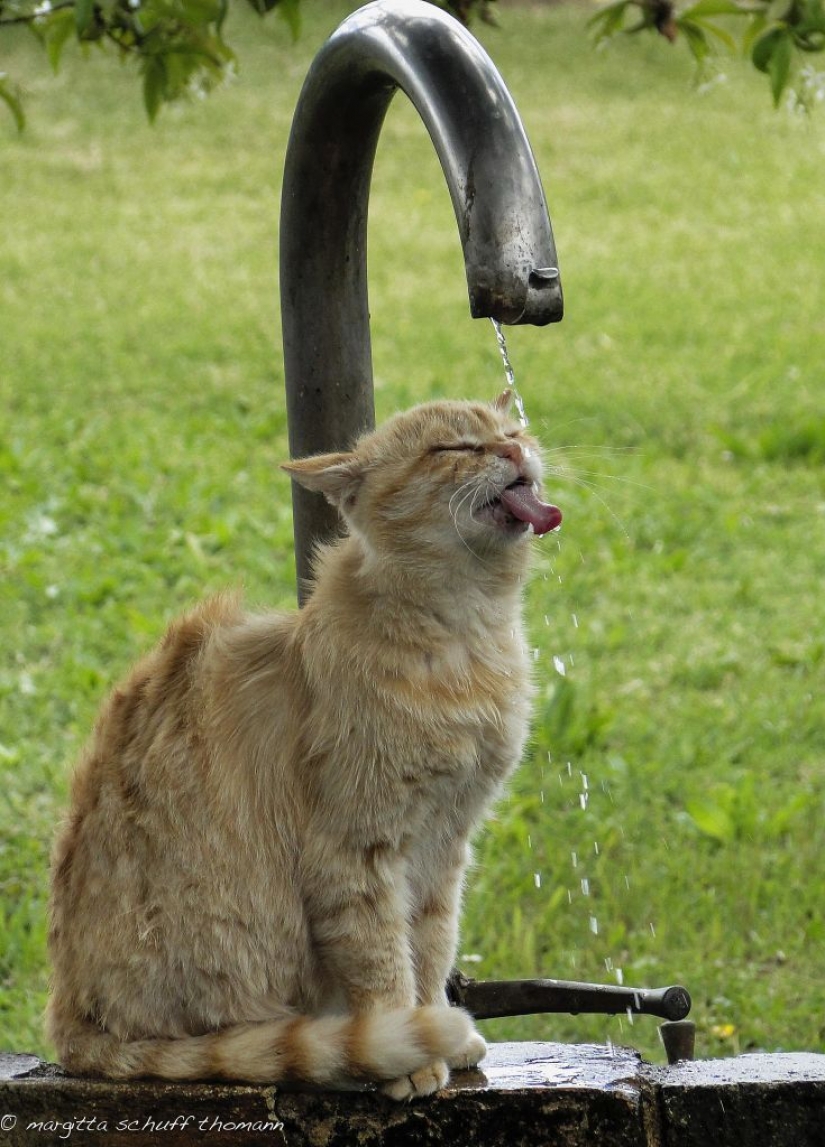 33 photos, where time and angle decide everything 33 photos, where time and angle decide everything