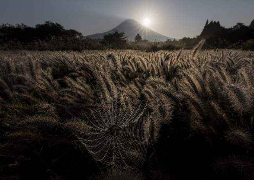 35 foto del concurso "la Mejor foto de naturaleza" de National Geographic