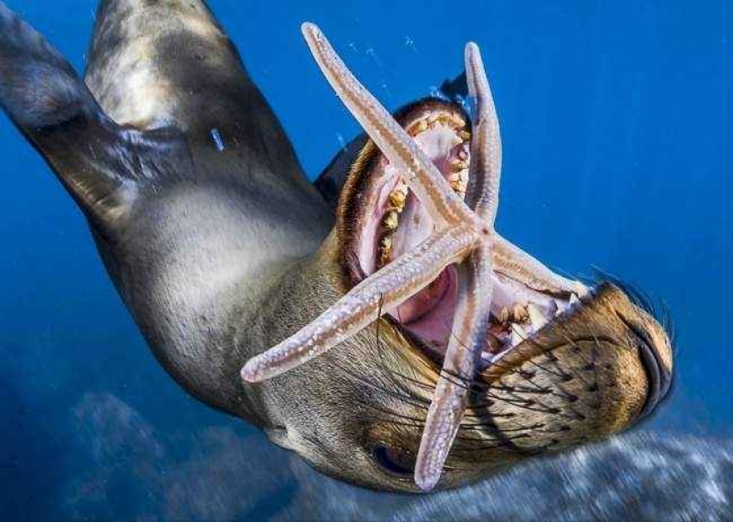 35 foto del concurso "la Mejor foto de naturaleza" de National Geographic