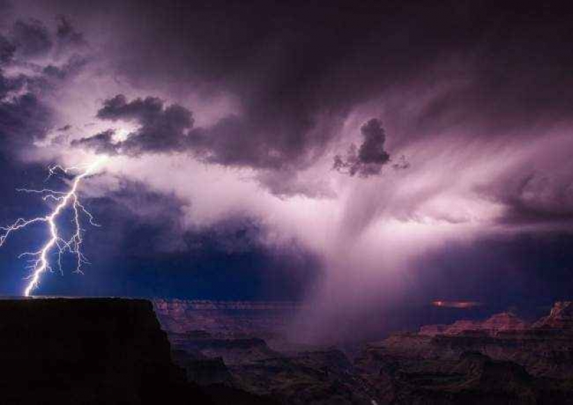 35 foto del concurso "la Mejor foto de naturaleza" de National Geographic