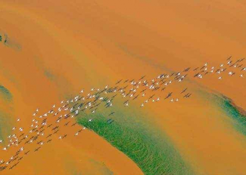 35 foto del concurso "la Mejor foto de naturaleza" de National Geographic