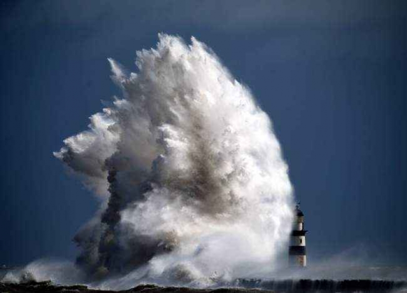 35 foto del concurso "la Mejor foto de naturaleza" de National Geographic