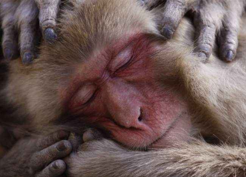 35 foto del concurso "la Mejor foto de naturaleza" de National Geographic