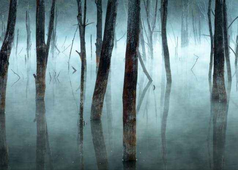 35 foto del concurso "la Mejor foto de naturaleza" de National Geographic