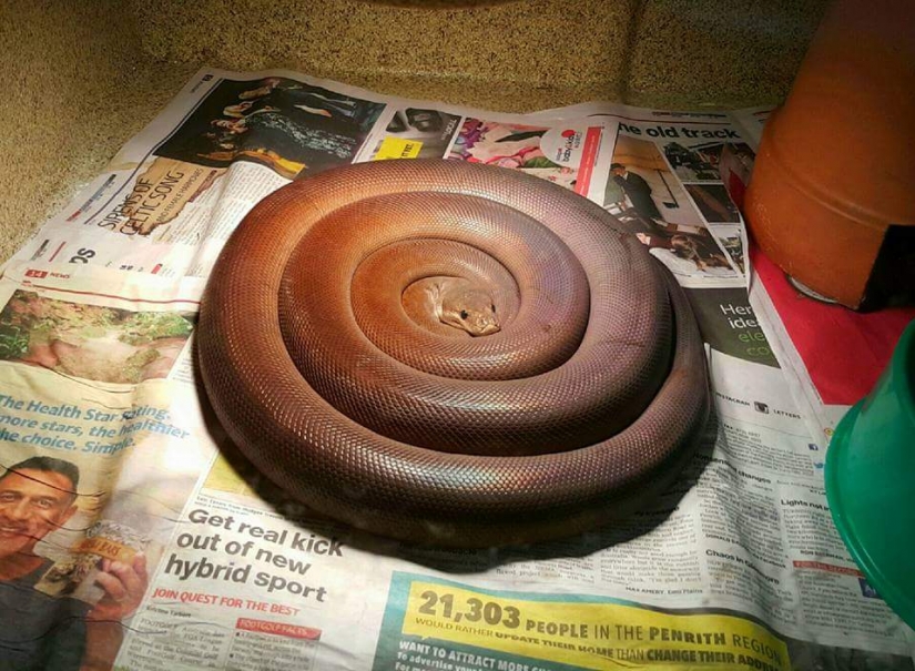 35 items, the ideals of which exceeds