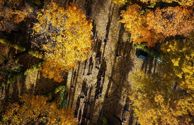 37 fotos que serán capaces de hacer con aviones no tripulados