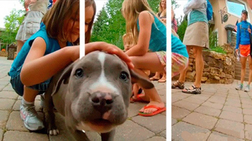 3D glasses not needed: gifs, ready to jump out of the screen