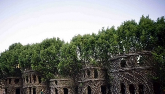 5 estructuras inusuales en los árboles gigantes 5 estructuras inusuales en los árboles gigantes