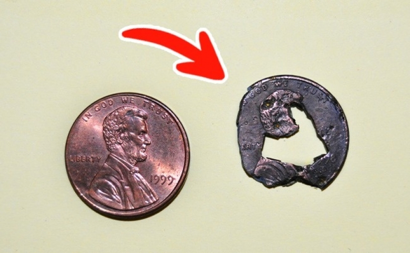 5 incredible facts about our body 5 incredible facts about our body