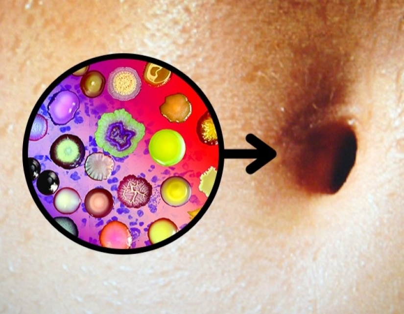 5 incredible facts about our body 5 incredible facts about our body