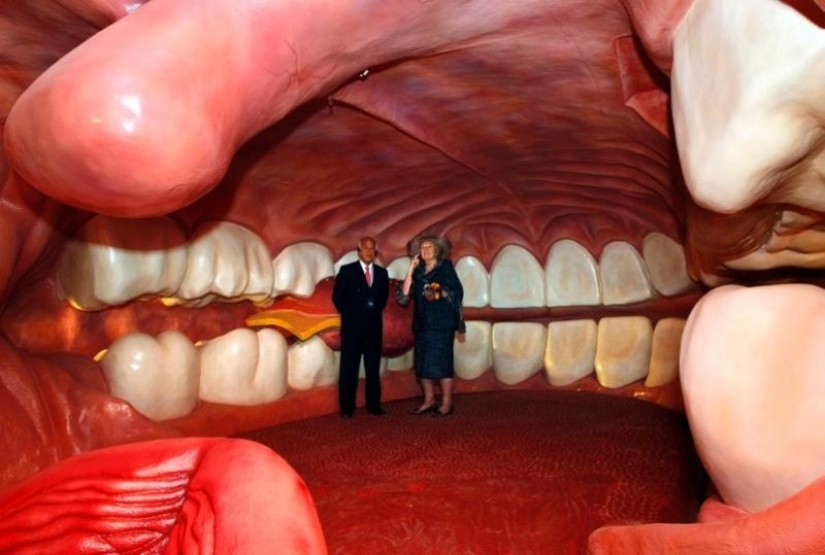 6 most shocking anatomical museums in the world