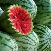 7 most varieties of watermelons. Look no need to pop!