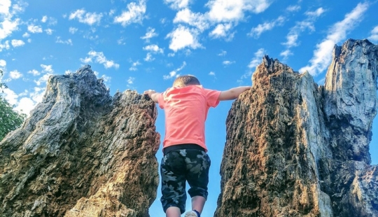 8 fotos engañosas que son puras ilusiones