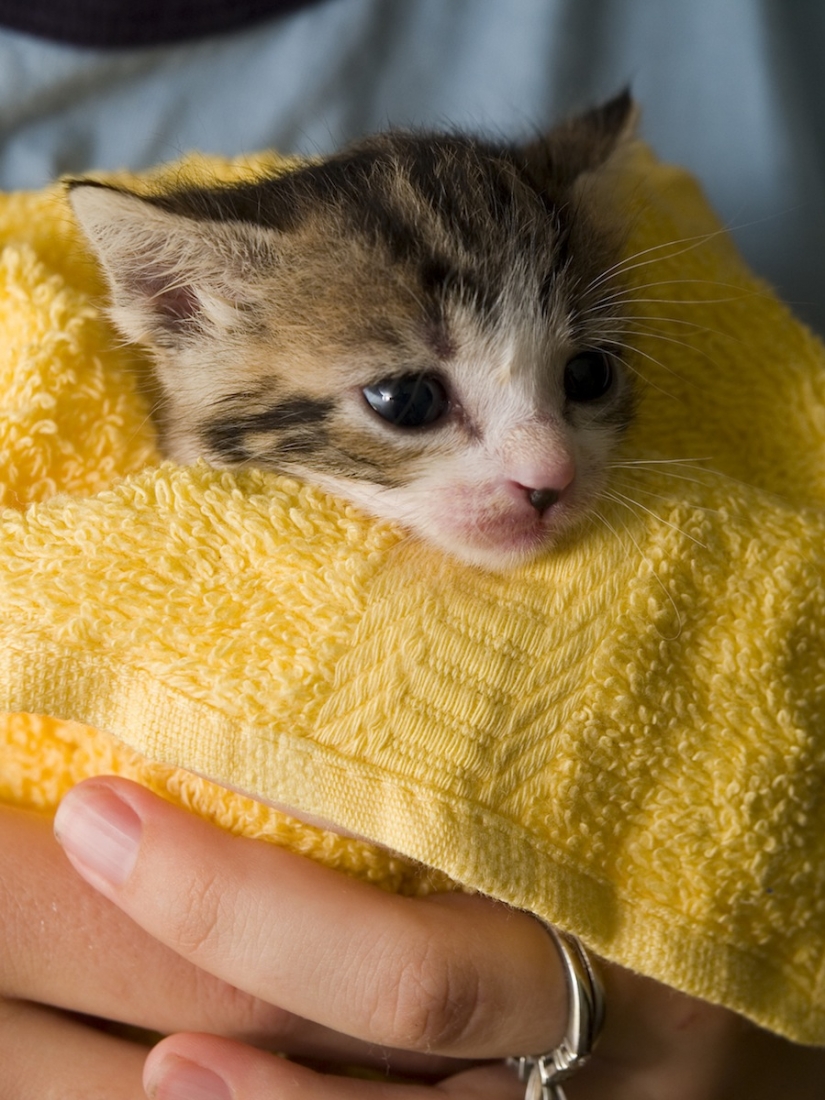 8 useful alternative ways to use duct tape