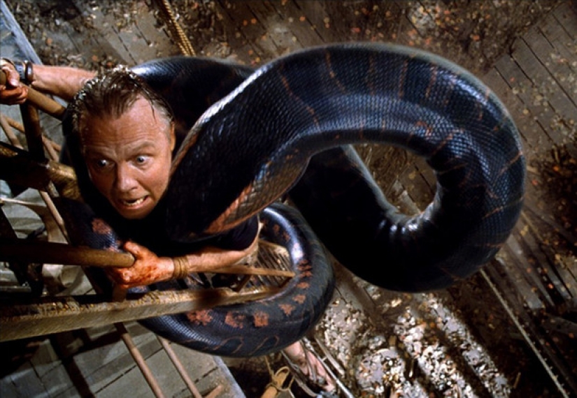 9 absurdamente largo kinomechta