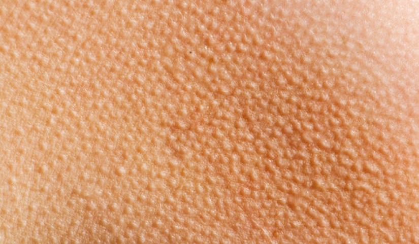 9 cosas extrañas que son los mecanismos de protección en nuestro cuerpo