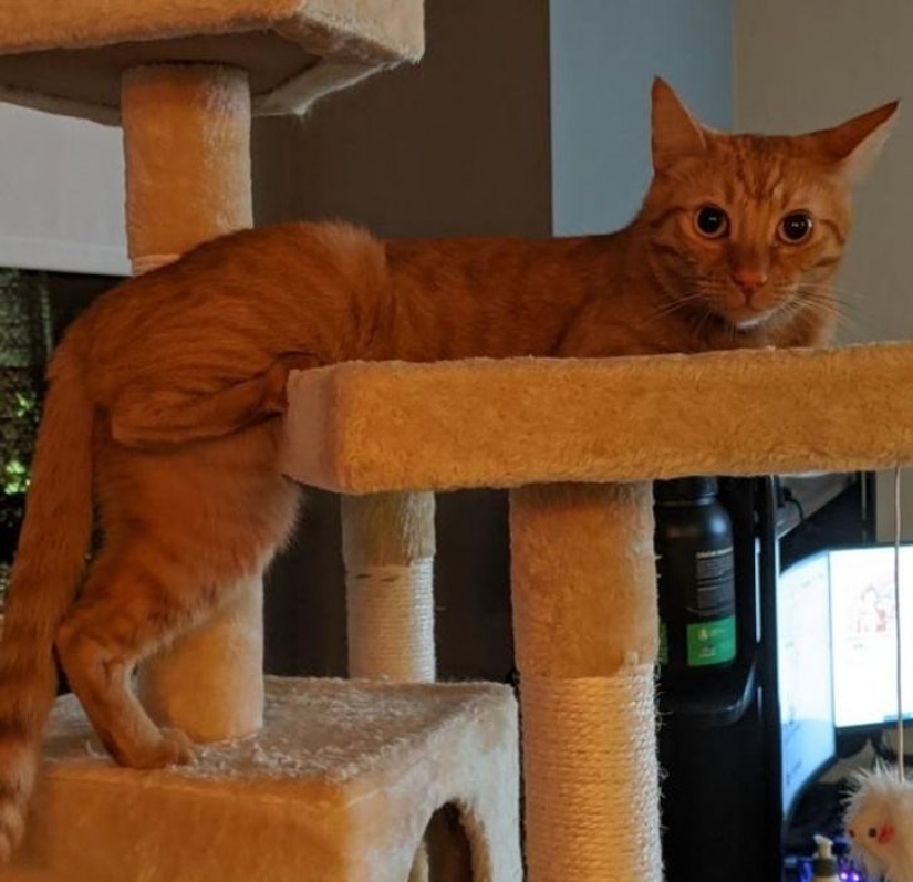 9 fotos que demuestran que los animales son una eterna fuente de felicidad 9 fotos que demuestran que los animales son una eterna fuente de felicidad