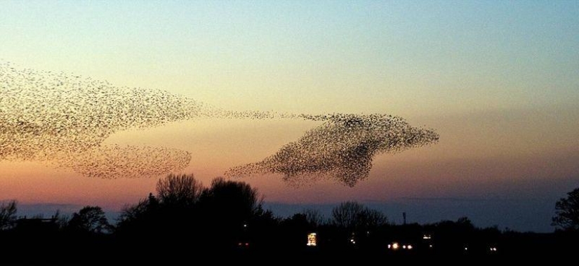 9 increíbles momentos atrapados en un marco de