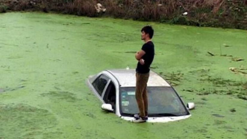 9 la mayoría de los sueños comunes y sus significados según el famoso psicólogo