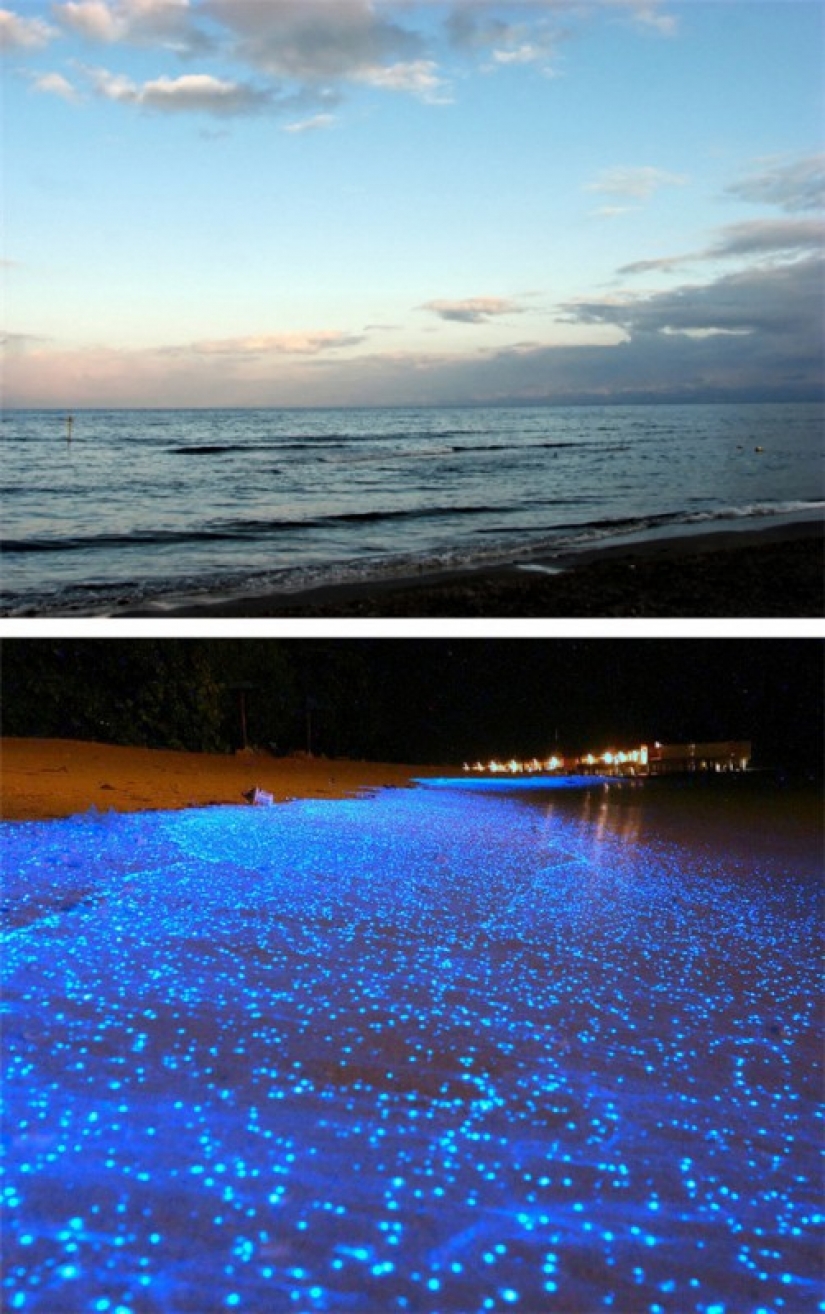 9 lugares únicos que cambian completamente la noche