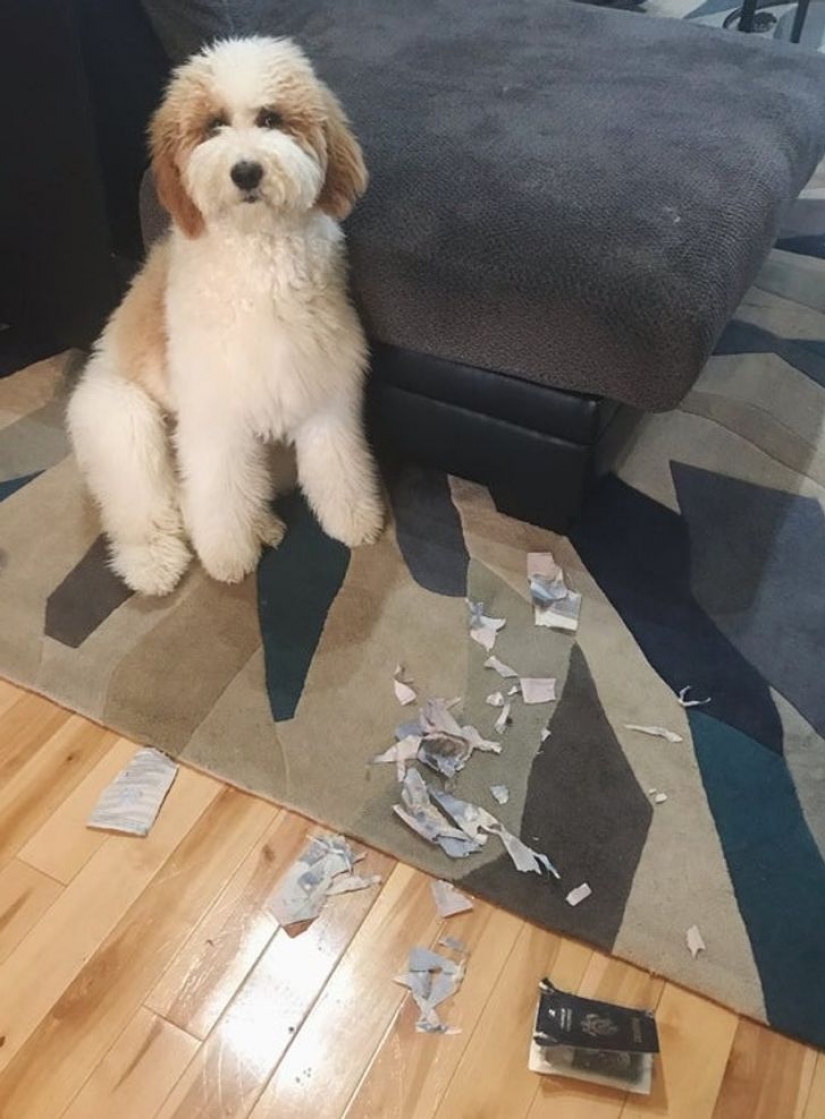 9 people who just wanted a decent vacation but were out of luck