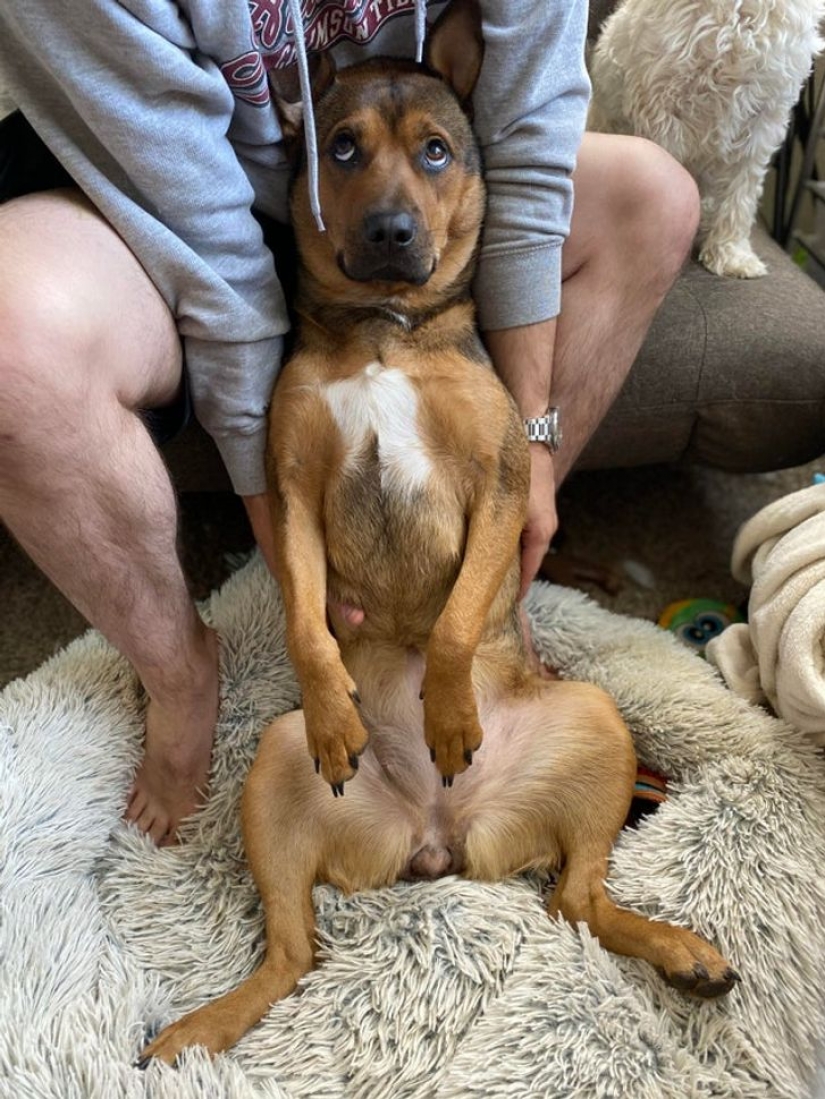 9 photos proving that animals are an eternal source of happiness