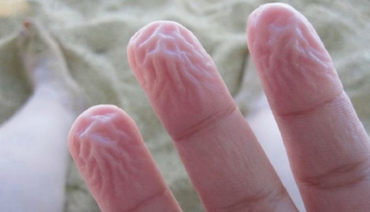 9 strange things that are protective mechanisms in our body