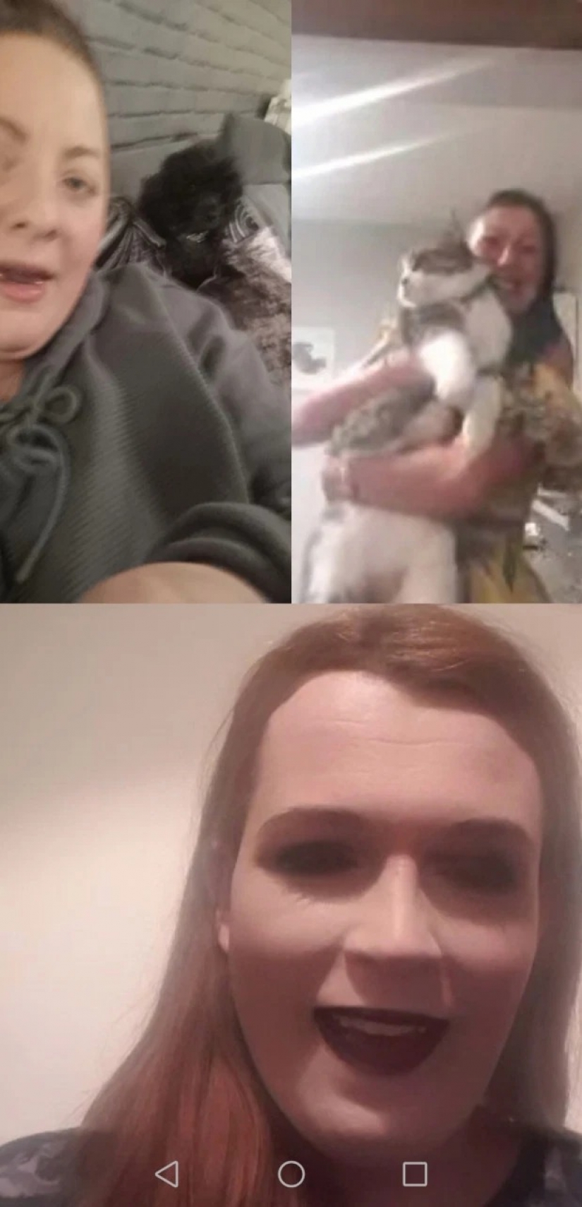 A virtual bachelorette party: police arrived on the complaint of the neighbors and found the apartment online party