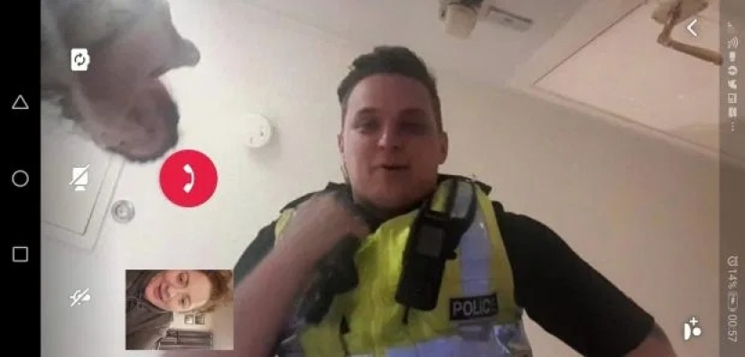 A virtual bachelorette party: police arrived on the complaint of the neighbors and found the apartment online party