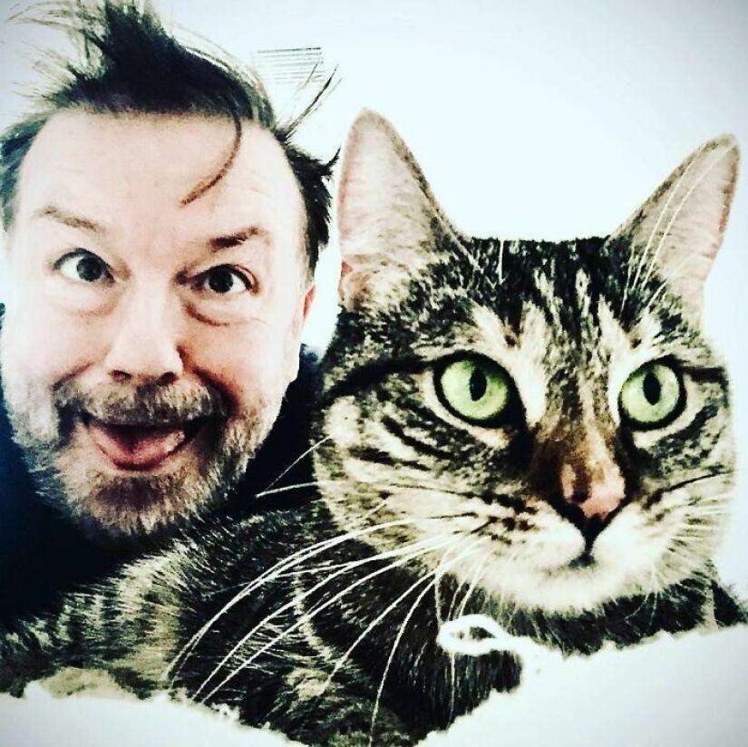 Actor Ricky Gervais thought to take the cat to overexposure, but she changed his plans