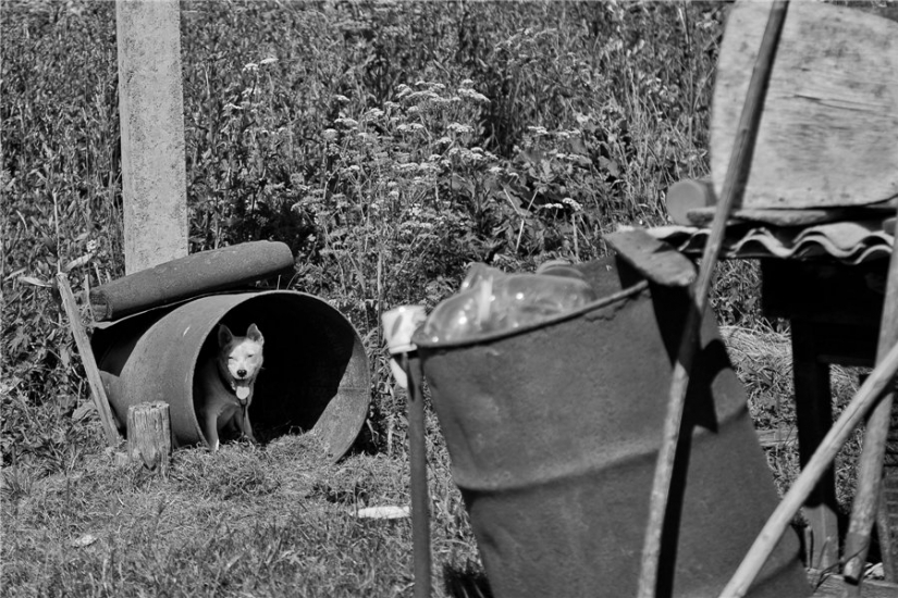 "Adiós, olvidado de Rusia!": ¿por qué un fotógrafo de Bryansk alivia la desaparición de la aldea