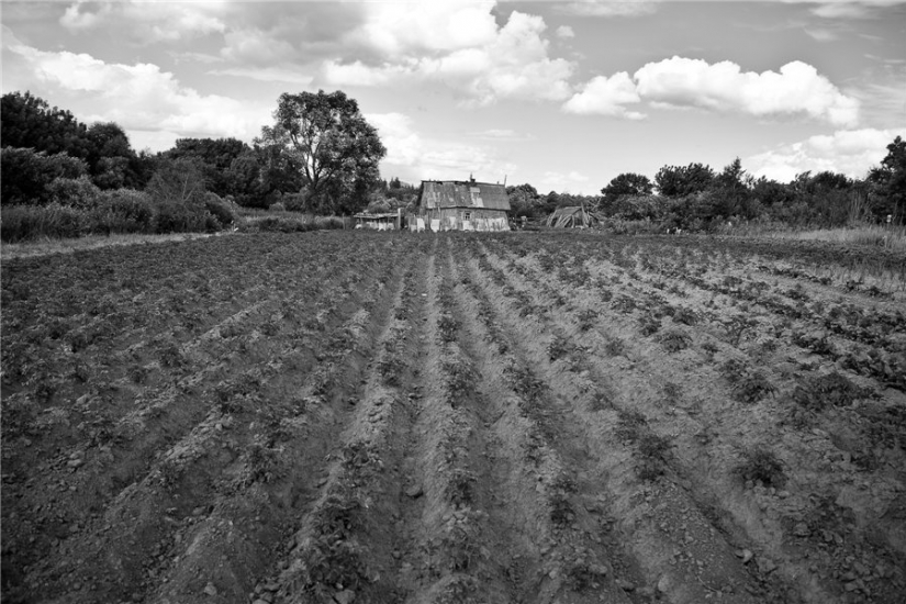 "Adiós, olvidado de Rusia!": ¿por qué un fotógrafo de Bryansk alivia la desaparición de la aldea