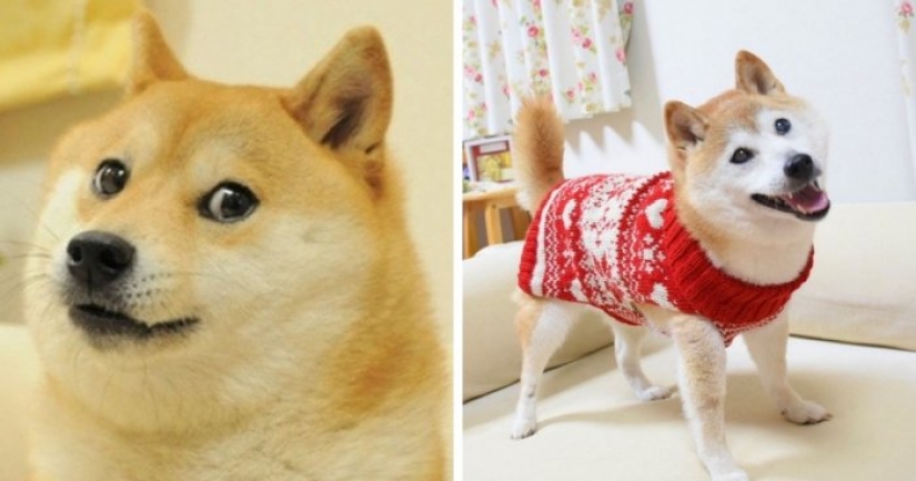 Ahora cuidar de los memes