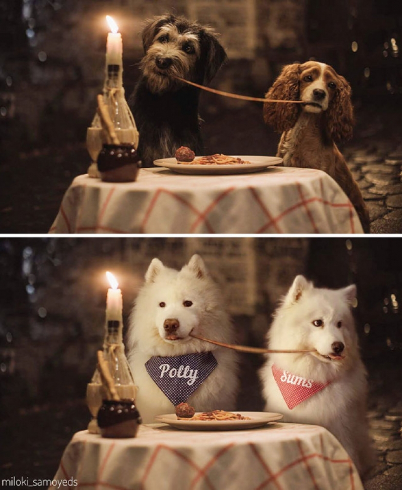 Ahora sabemos cómo se vería el Terminador si jugó Samoyedo Ahora sabemos cómo se vería el Terminador si jugó Samoyedo