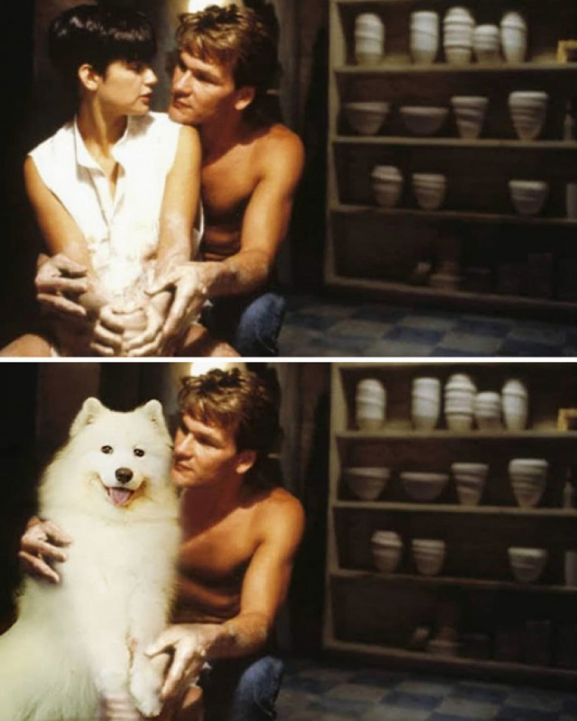 Ahora sabemos cómo se vería el Terminador si jugó Samoyedo Ahora sabemos cómo se vería el Terminador si jugó Samoyedo