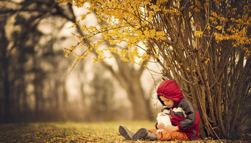 Amateur photographer vs: as one and the same location is transformed in the work of professional Amateur photographer vs: as one and the same location is transformed in the work of professional