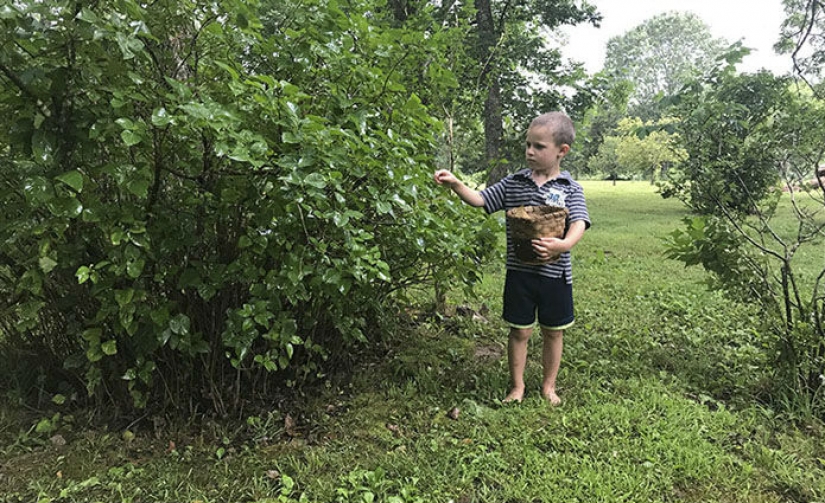 Amateur photographer vs: as one and the same location is transformed in the work of professional Amateur photographer vs: as one and the same location is transformed in the work of professional