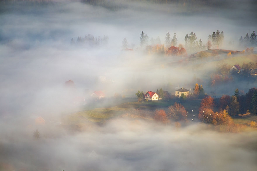 Amazing scenery in the arms of fog