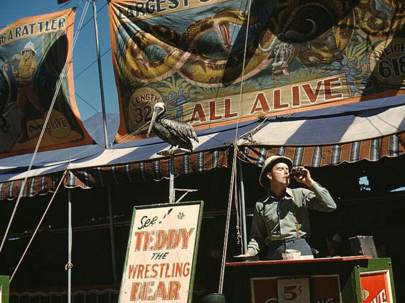 America during the first economic crisis