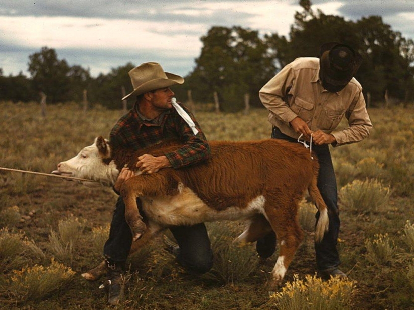 America during the first economic crisis