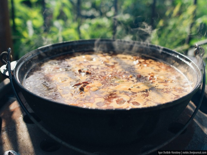 An alternative to barbecue: cook on a campfire