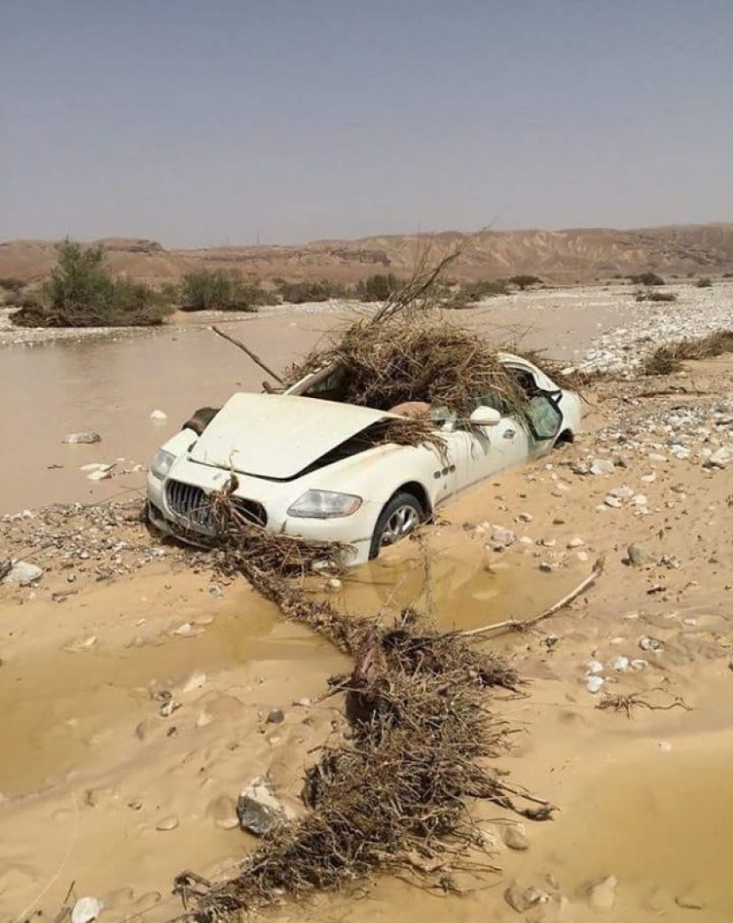 Another "dream job" in UAE searching for specialist search for abandoned luxury cars Another "dream job" in UAE searching for specialist search for abandoned luxury cars